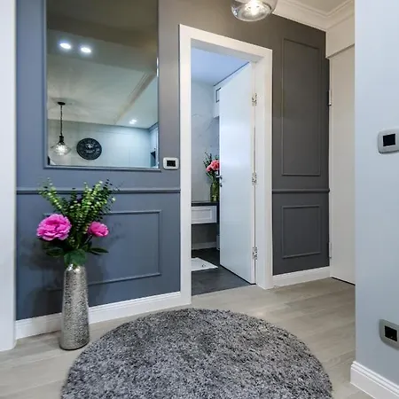 Divine Luxury Purple * 扎达尔