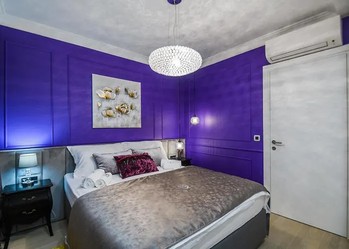 Divine Luxury Purple * Zara