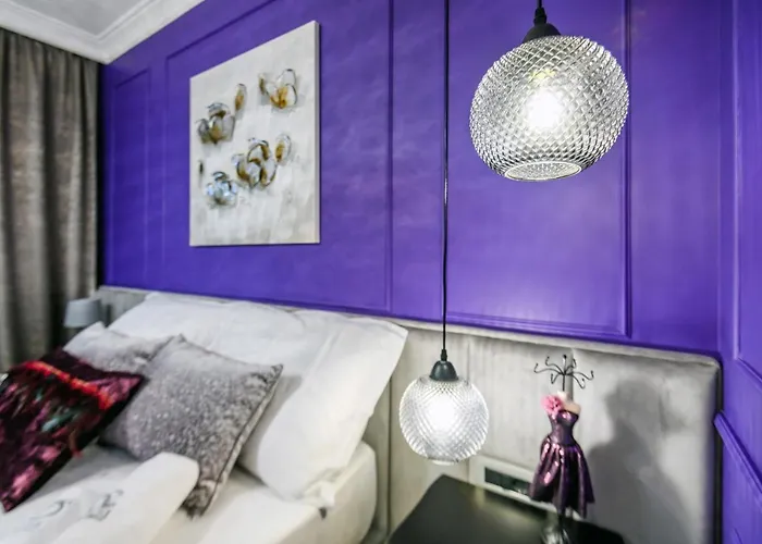 Divine Luxury Purple * Zara