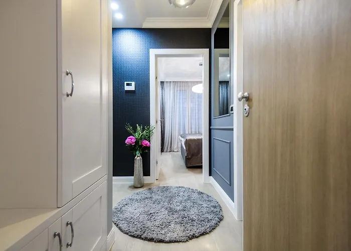 Divine Luxury Purple Appartamento Zara